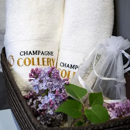 Casa de hóspedes Les Du Champagne Collery Ay-Champagne